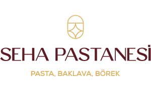 logo dark