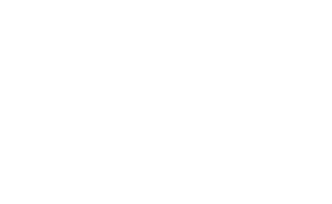 logo light